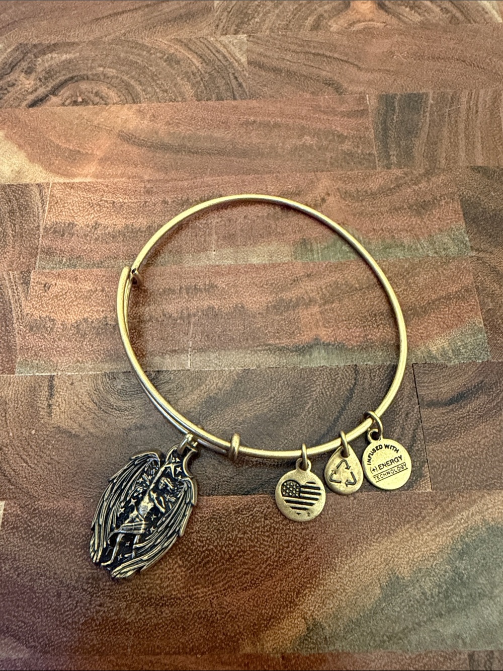 Alex and Ani Guardian of Strength Gold Bracelet